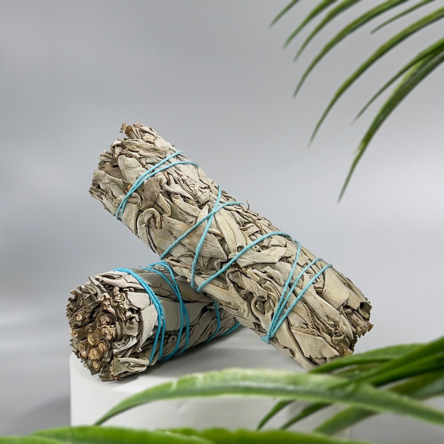 White Sage Smudge Sticks